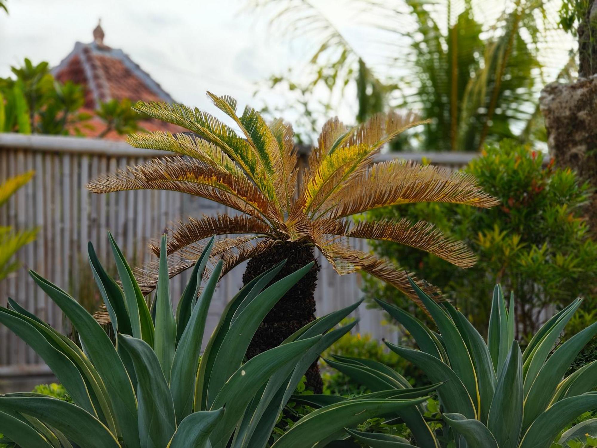 Alam Cottage Uluwatu Екстер'єр фото